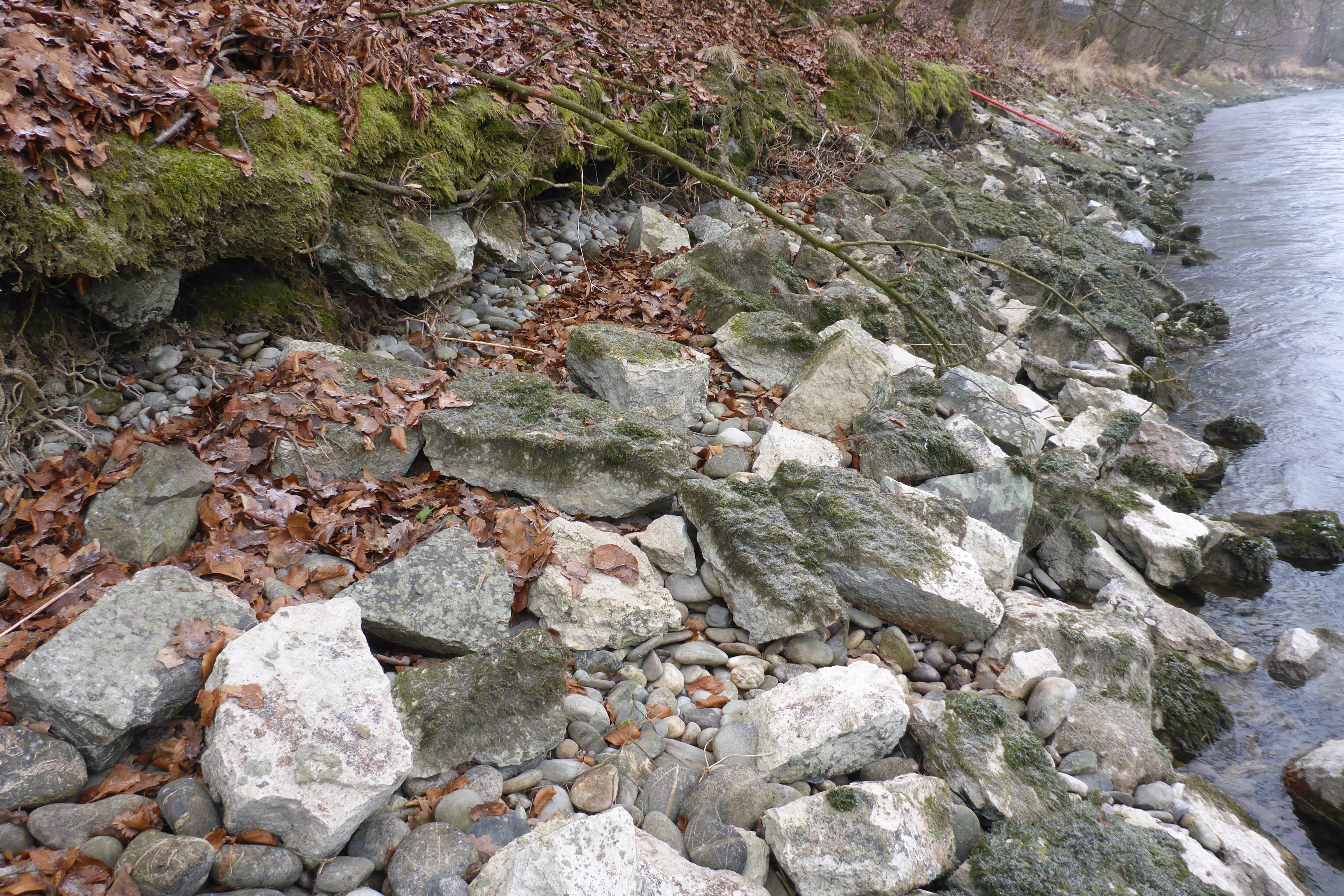 Aare Kanton Bern; Abschnitt Schönau-Gaswerk; Tiefbauamt des Kantons Bern