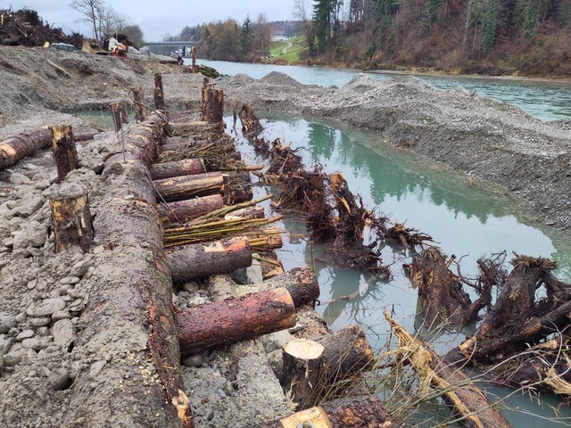Aare; Hochwasserschutz Thalgut-Chesselau; Tiefbauamt des Kantons Bern